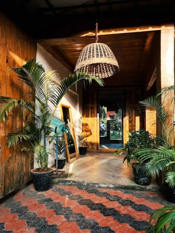 Cozy entrance of a hostel, filled with plants.