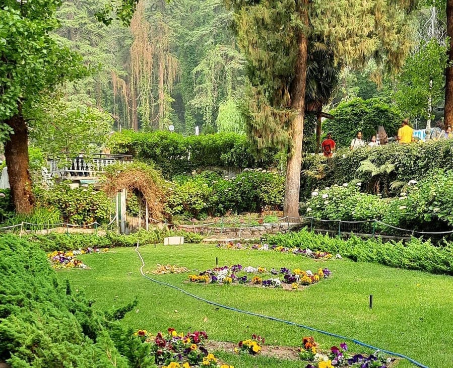 picture of a lush green garden
