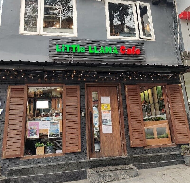 In front of the cafe, with boarding of Little Llama cafe