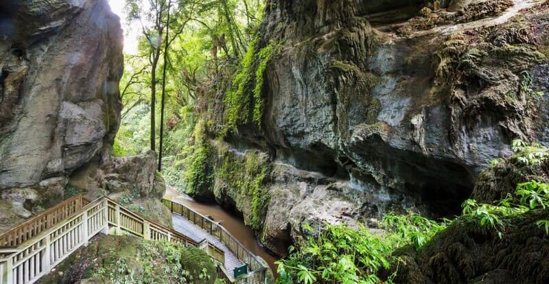 Cave entrance surrounded by greens